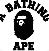 Bape T-Shirts (Put code for shirt in checkout)