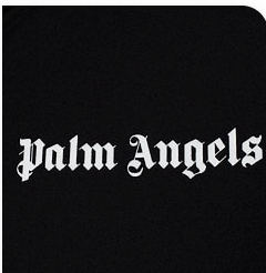 Palm angels T shirts (type shirt code in checkout shown in pictures) Click this link to see full photos